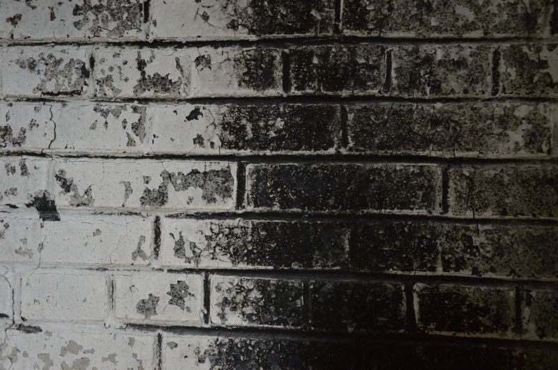 Increase Your Fire Restoration Business with an AI Driven, Targeted Website